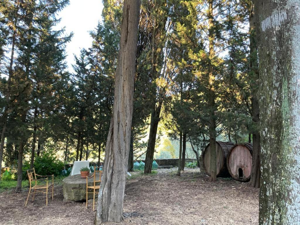 Villa Fattoria Poggio Di Fiesole Exterior foto